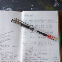 [Lamy Fountain Pen] Vista